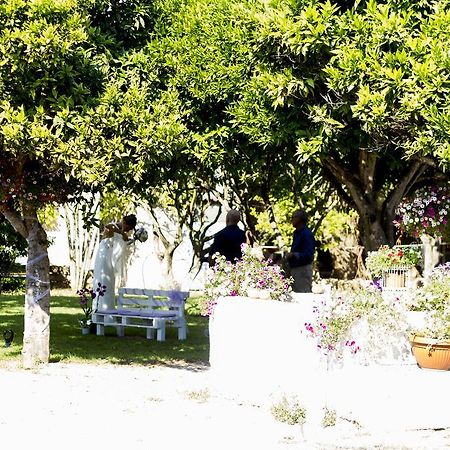 Bed and Breakfast La Purissima Alghero Exteriér fotografie